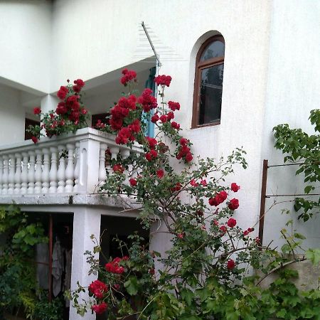 Apartman Sunce Raslina Exteriér fotografie