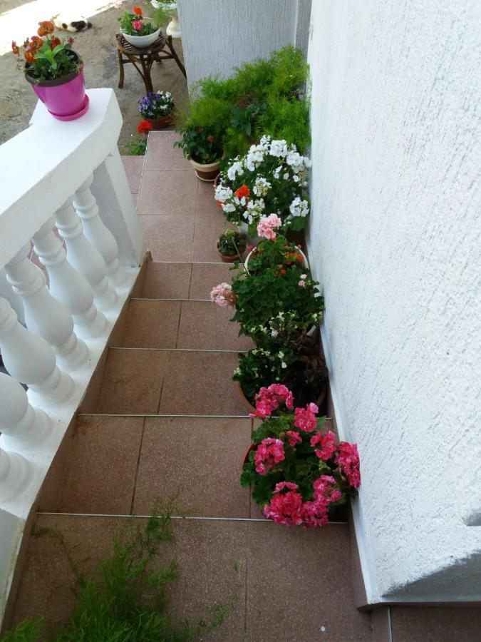 Apartman Sunce Raslina Exteriér fotografie