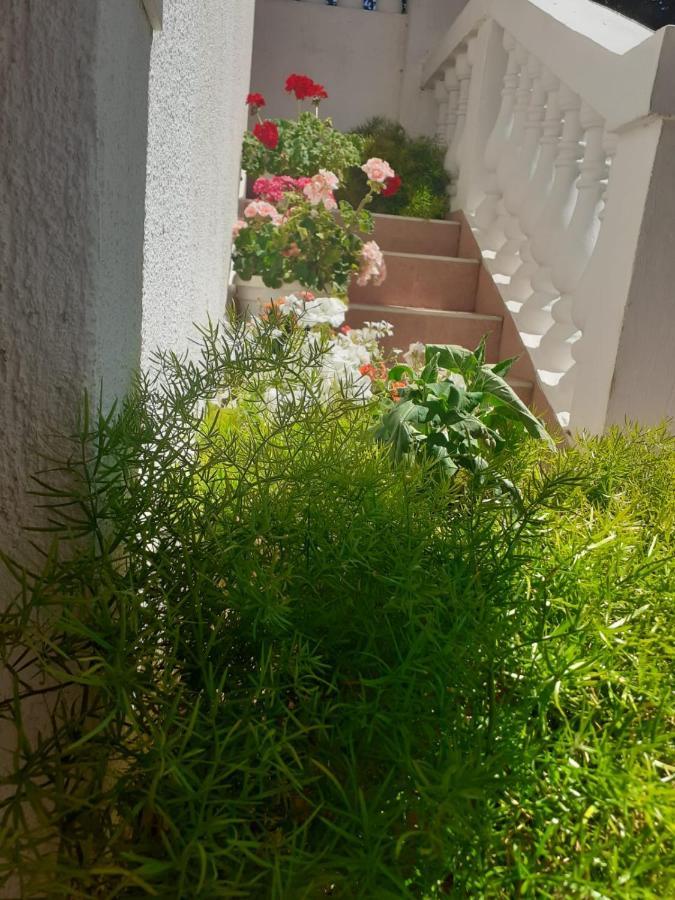 Apartman Sunce Raslina Exteriér fotografie