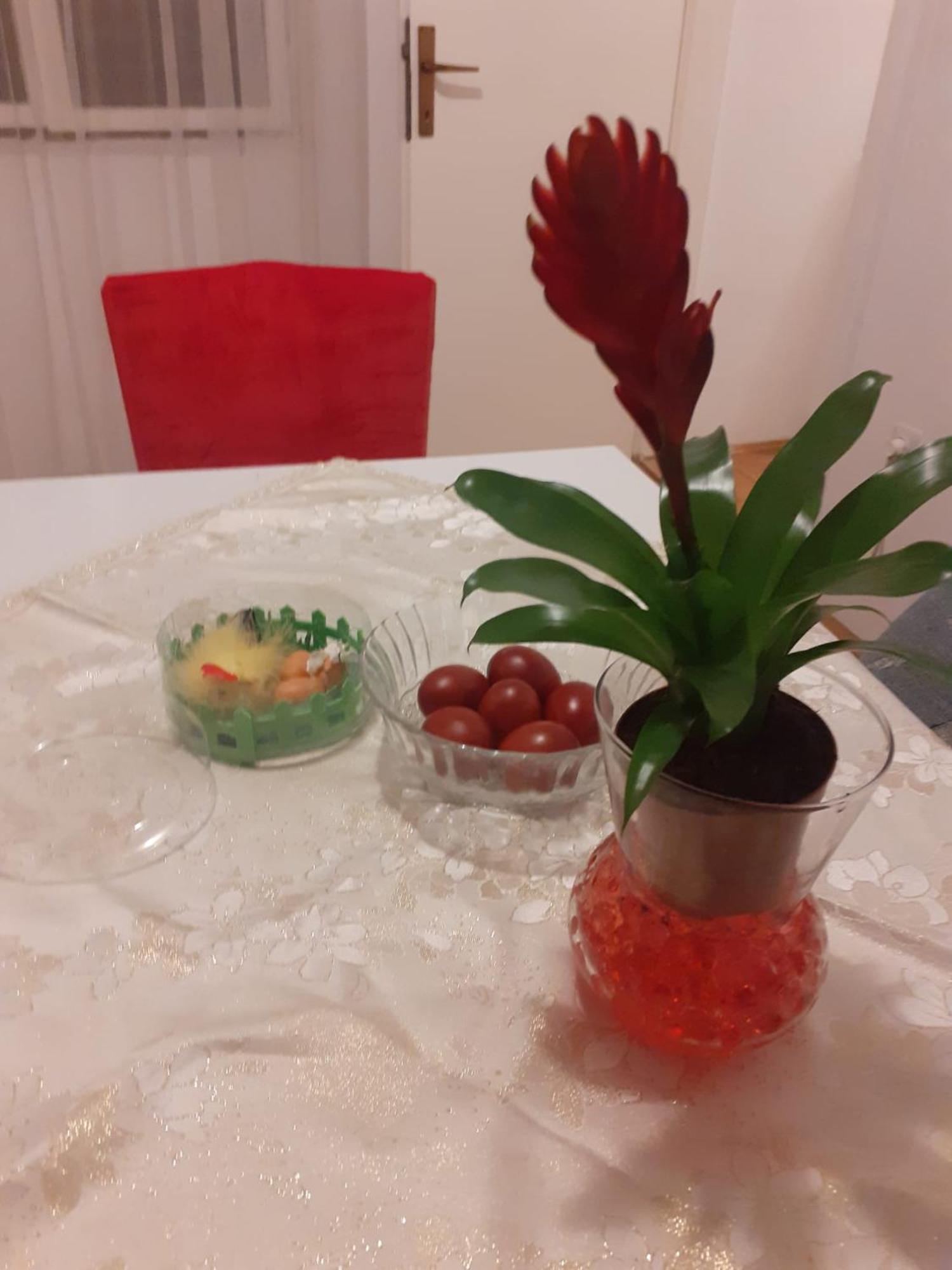 Apartman Sunce Raslina Exteriér fotografie