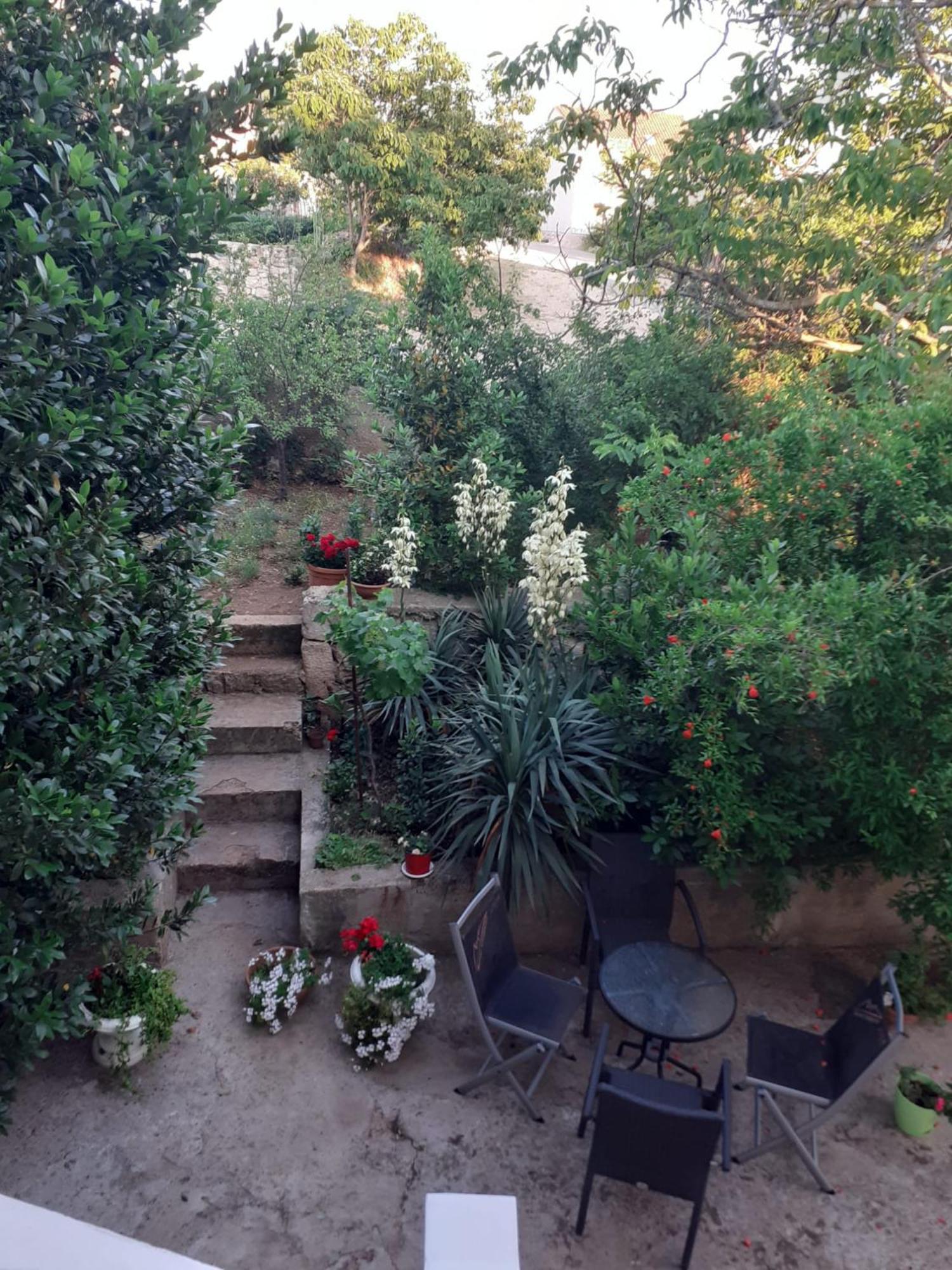 Apartman Sunce Raslina Exteriér fotografie